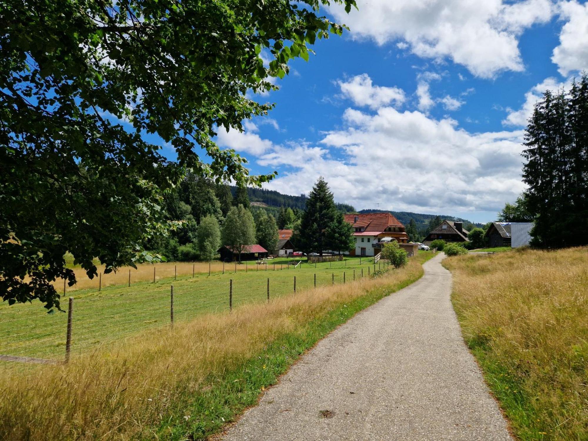 Altes Zollhuesli Villa Schluchsee Kültér fotó