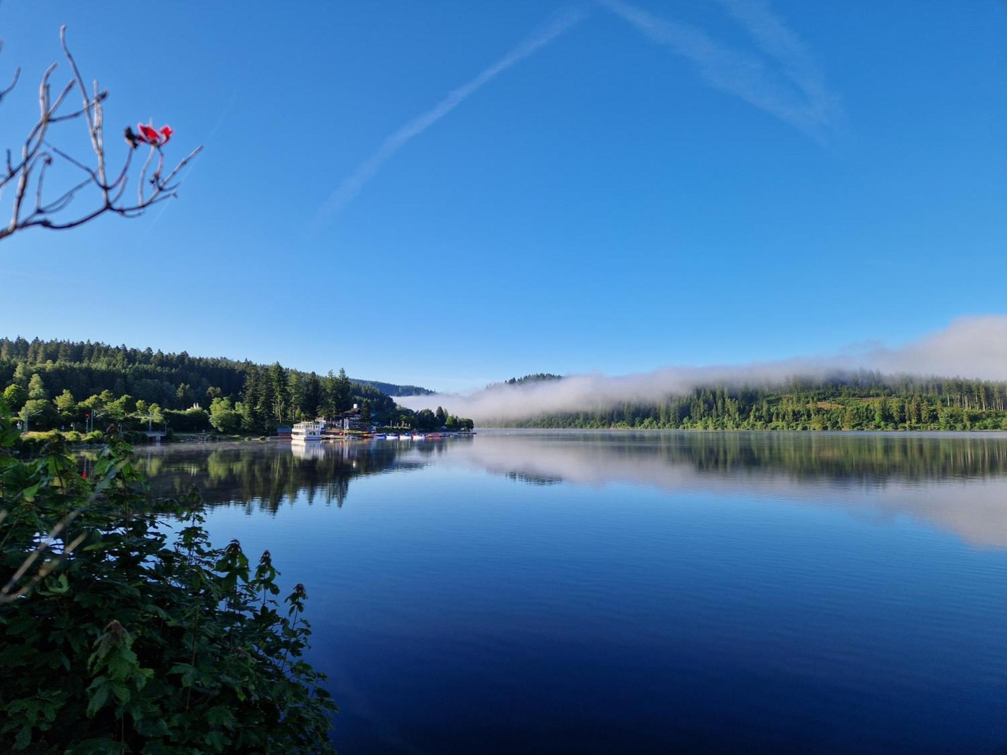 Altes Zollhuesli Villa Schluchsee Kültér fotó