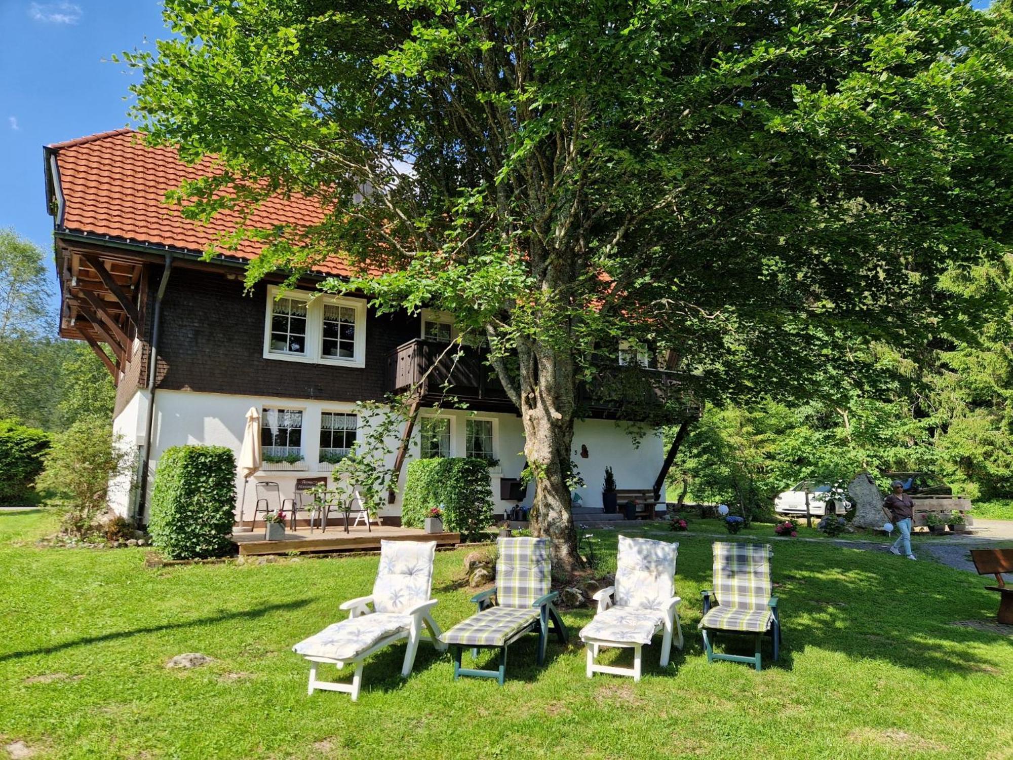 Altes Zollhuesli Villa Schluchsee Kültér fotó